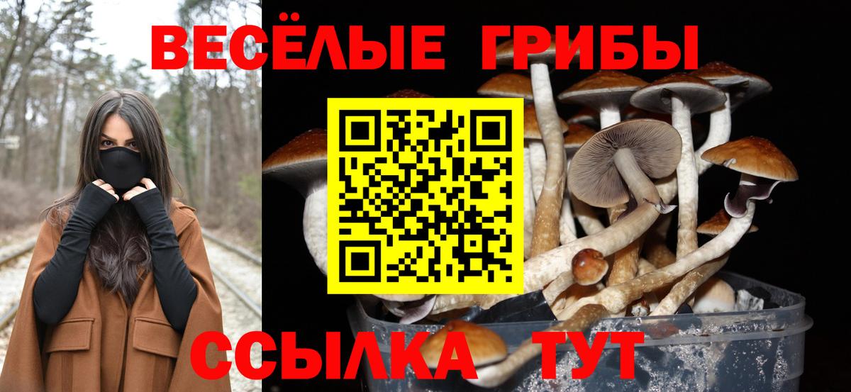 Галлюциногенные грибы мицелий  Вход с VPN  Строитель 